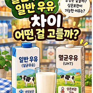 멸균우유와 일반 우유 차이, 영양은 같을까? 마트에서 우유 고르는 법