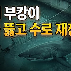 다시 돌아온 '부캉이' 그물 뚫고 수로 재진입 현재 위치 근황(+폰툰 차단막 통과 이유 향후 구....