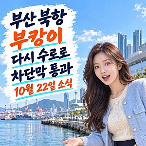부캉이가 다시 돌아왔다고? 부산 북항 상어 수로 재진입｜10월 22일 소식