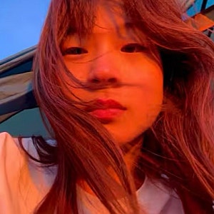 “무사하다더니 왜?” 인도 여행 후 사라진 유튜버 길바닥, SBS까지 찾아 나섰다