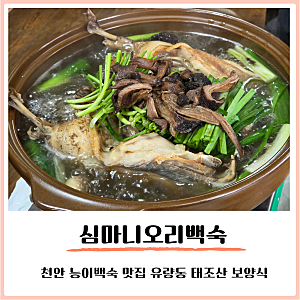 천안 능이 백숙 맛집 추천 유량동 태조산 맛집 [심마니오리백숙]에서 몸보신 제대로!