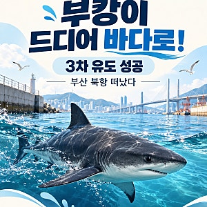 부캉이 드디어 바다로! 3차 유도 성공, 한 달 넘게 머문 부산 북항 떠났다