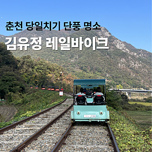춘천 김유정 레일바이크 예약 및 가격 소요시간 2인 탑승 후기 춘천 단풍 명소 당일치기