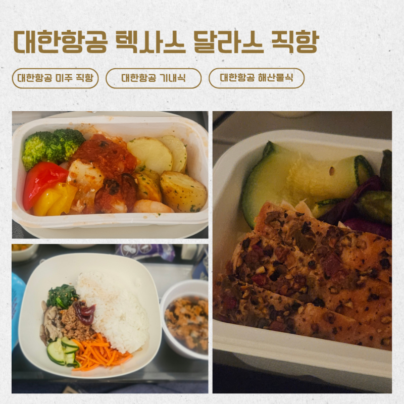 미국 텍사스 달라스 대한항공 직항 이코노미 미국 노선 기내식 및 해산물식 후기