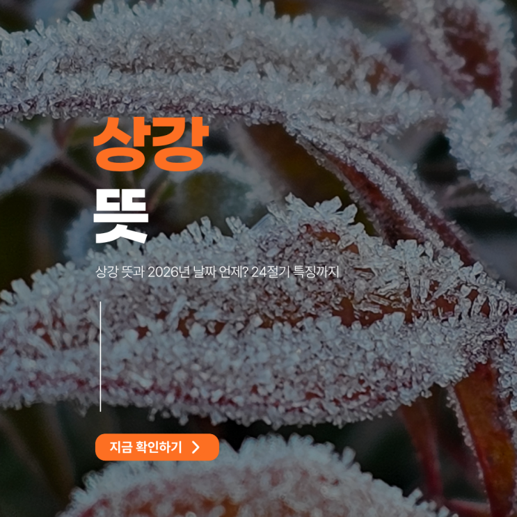 <b>상강 뜻</b>과 2026년 날짜 언제? 24절기 특징까지