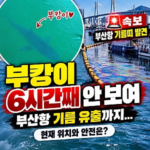 부캉이 6시간째 안 보여… 부산항 기름 유출까지 발생, 현재 위치와 안전은?