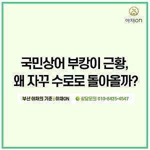 부산 북항 상어 부캉이 최근 근황 총정리 (3차 유도작업부터 오늘 기름 유출까지)