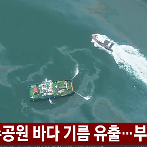부산 북항 친수공원 바다 기름 유출… 서식 상어 '부캉이' 잠영 가능성