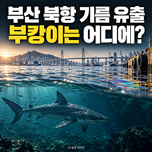 부캉이는 어디에? 부산 북항 기름 유출, 수로 인근까지 번진 기름띠