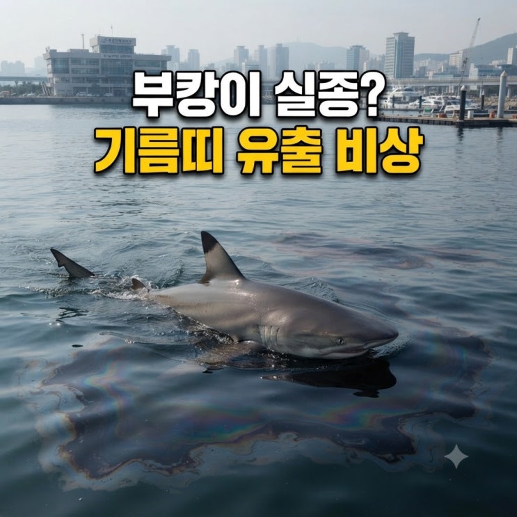 <b>부산</b> 부캉이 구조 근황｜3차 구조 후 다시 돌아온 이유, 왜 안 보일....