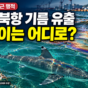 부산 북항 기름 유출, 부캉이는 어디로? 사고 상황과 최근 행적 정리