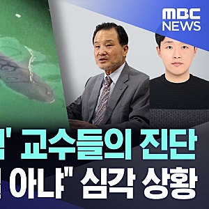 부캉이 상어 재출현.. 교수진 "심각 상황" 진단