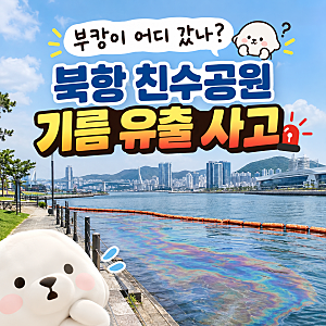 부캉이 어디 갔나? 북항 친수공원 기름 유출 사고