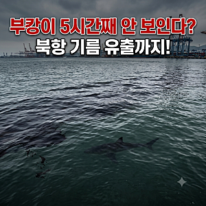 부캉이 5시간째 실종? 부산 북항 바다에 기름 유출까지…23일 충격 근황