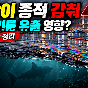 부산 북항 상어 부캉이 실종? 기름 유출 사고에 5시간째 모습 감춰…현재 상황은?
