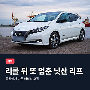 닛산 리프 배터리 고장 국감 리콜 뒤 재고장 배터리 팽창 추가 리콜 거부 차주가 할 일