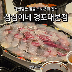 강릉 횟집 추천 삼삼이네 경포대본점 가성비 모둠회 물회 포장 후기