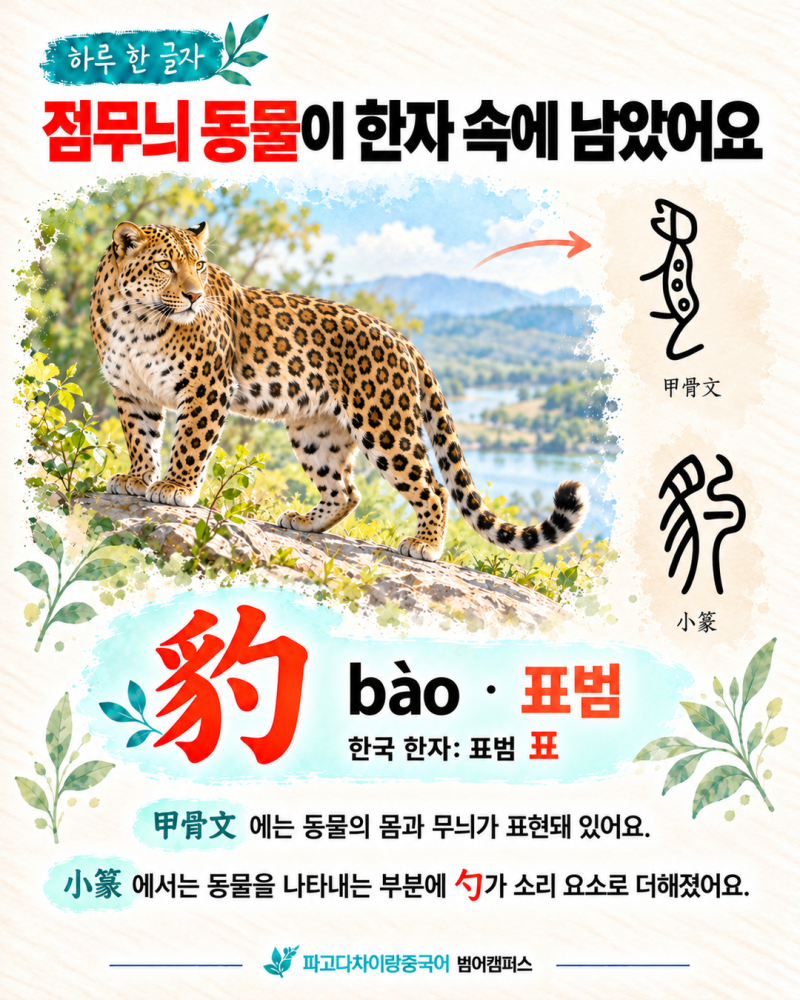 대구중국어회화 豹 하나로 배우는 동물과 패션 표현