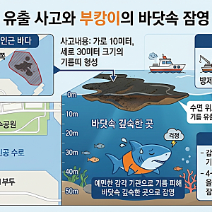 부산 북항 상어 부캉이 기름 유출 사고 근황 위치 유도작업 총정리