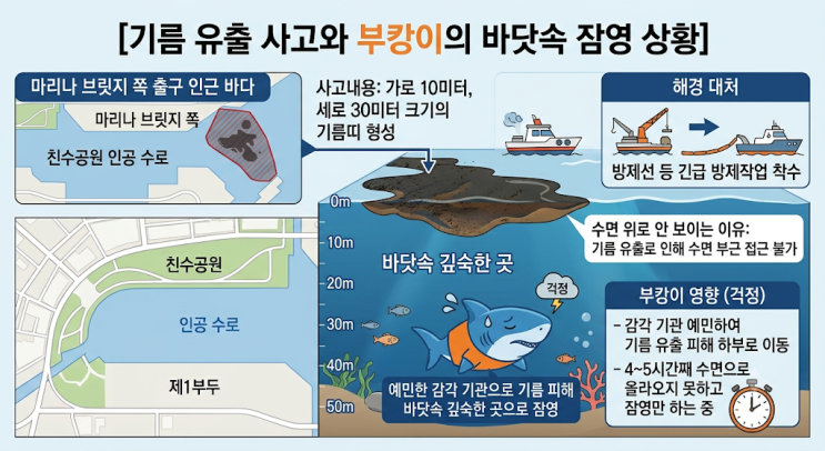 <b>부산 북항</b> 상어 부캉이 <b>기름 유출</b> 사고 근황 위치 유도작업 총정리