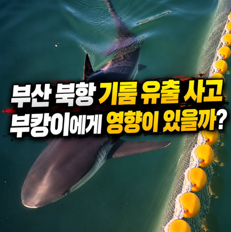 "<b>부산 북항 기름 유출</b> 사고" 부캉이에게 영향이 있을까