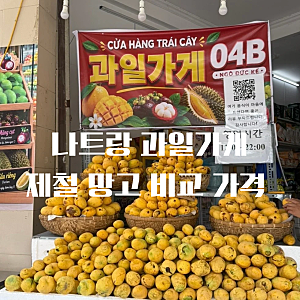 나트랑 과일가게 65B 04B 망고 가격 비교 인생 애플망고 구매 후기