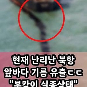 '부캉이' 어쩌나... 부산 북항 앞바다 기름 유출 사고 발생 (현재 상태 및 유출 상황 정리)