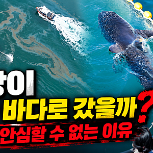 부캉이 바다로 떠났을까…기름 유출 속 안심하기 이른 이유