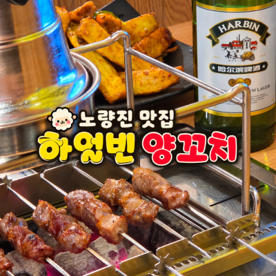 노량진양꼬치 맛집 하얼빈양꼬치 후기