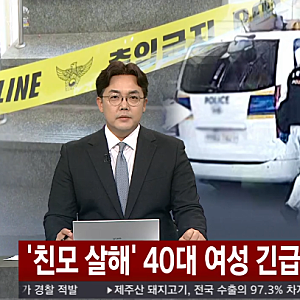 강서구 60대 친모 살해 40대 딸, 구속심사서 범행 부인…경찰 “평소 갈등 정황 확보”
