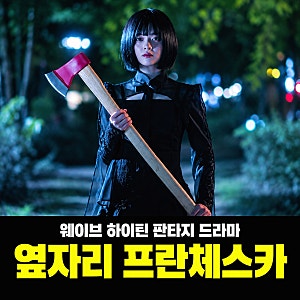 옆자리 프란체스카 출연진 등장인물 등 드라마 정보 심혜진 박슬기 박희진 특별 출연