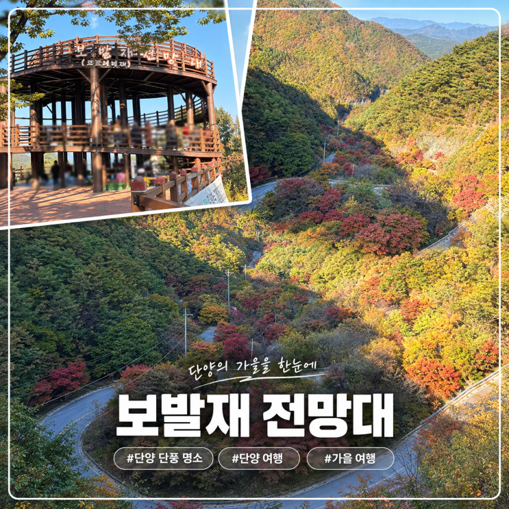 <b>단양</b> 가을여행 단풍 명소 <b>보발재</b> 단풍 상황 및 솔직후기(+방문꿀팁)