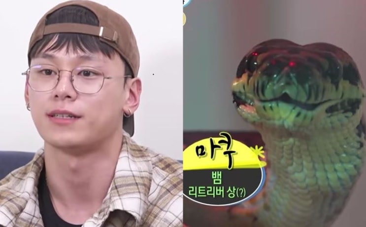“고양이만 키우는 줄 알았는데…” <b>차우민</b>, <b>나혼산</b>에서 공개한 반....