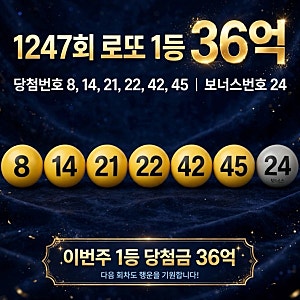 1247회 로또 당첨번호 8,14, 21, 22, 42+45 | 자동 5명 수동 3명 당첨