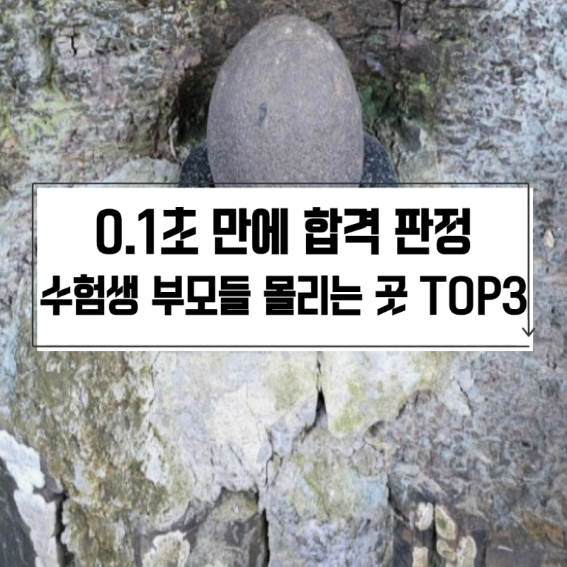 수능 디데이, 무거울수록 합격?...0.1초 만에 판정 나는 소원명당 TOP3