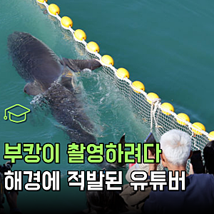 "부캉이 보겠다고 배까지 빌렸는데?" 37일 생중계 유튜버 결국 해경에 적발