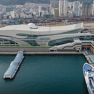 이틀간 사라졌던 상어 부캉이, 부산항 국제여객터미널에서 다시 발견됐다!