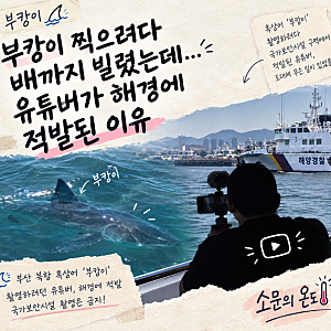 부캉이 찍으려다 배까지 빌렸는데…유튜버가 해경에 적발된 이유