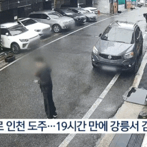 대전 40대 스토킹 피해 여성 살인 사건, 왜 범행을 막지 못했나