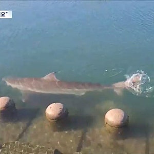 부캉이 촬영 유튜버 적발, 배까지 빌려 국가보안시설 촬영한 혐의