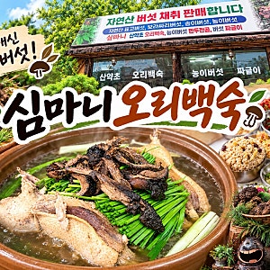 [천안맛집]심마니오리백숙 |직접 캐신 자연산 능이버섯이 듬뿍(+천안보양식맛집)
