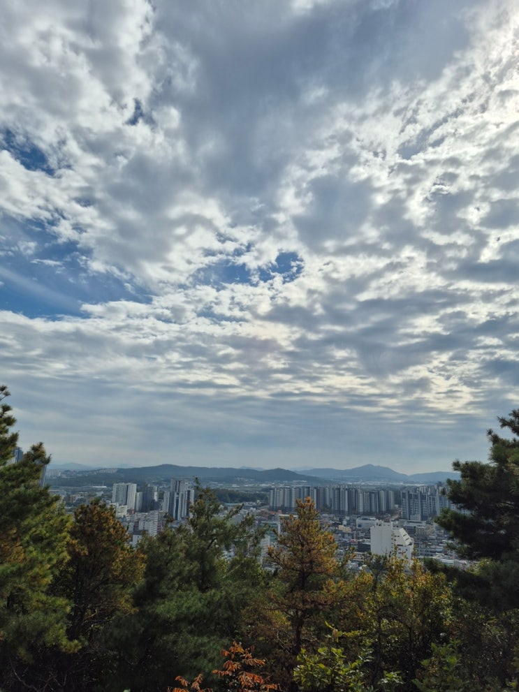 오늘 늦은아침에 망현산을 거닐며...