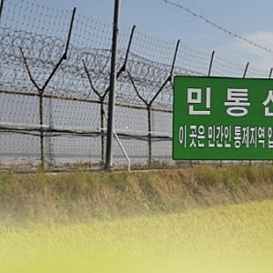 철원 민통선 넘어 GOP 철책 훼손한 30대 여성 검거… 군, 대공혐의 등 경위 조사