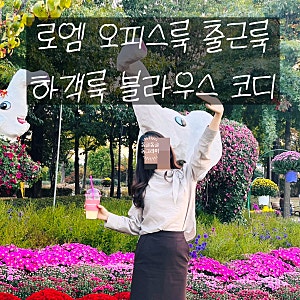 내돈내산 로엠 가을 겨울 하객룩 블라우스 추천