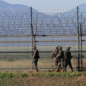 30대 여성에 뚫린 최전방 경계망…철원 민통선 넘어 GOP 철책 훼손, 20시간 동안 무슨 일이?