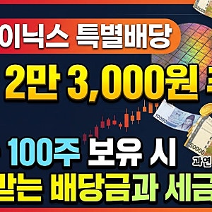 SK하이닉스 특별배당 주당 2만3000원 추진, 10주 100주 보유 시 실제 받는 배당금과 세금 계산