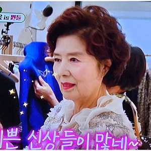 미우새 윤미라 미혼, 결혼 안 한 이유는? 남편 없는 싱글 생활부터 프로필·리즈 시절·럭셔리....