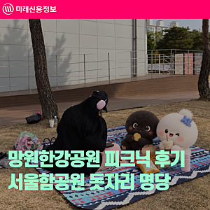 망원한강공원 피크닉 후기 서울함공원 돗자리 명당과 망원시장 먹거리