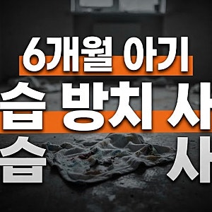 "아이 죽이고 싶어요" 검색한 친모... 엽기적인 20대 부모의 6개월 아기 방치·학대 사망 사건 ....