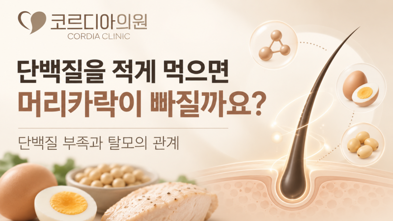선릉역 탈모 의원 단백질을 적게 먹으면 머리카락이 빠질까요? 단백질 부족과 탈모의 관계